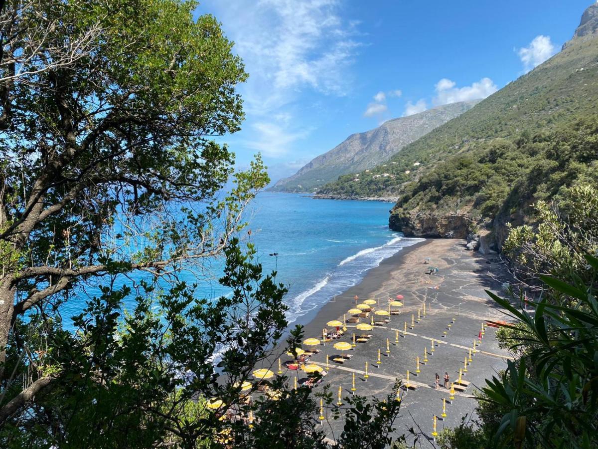 Residenze Maremonti Apartment Maratea Exterior photo